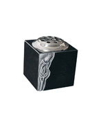 Plants: image 1 0f 4 thumb