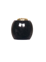 Plants: image 1 0f 4 thumb