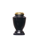Plants: image 1 0f 4 thumb