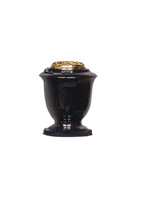 Plants: image 1 0f 4 thumb