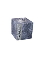 Plants: image 1 0f 4 thumb