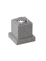 Plants: image 1 0f 4 thumb